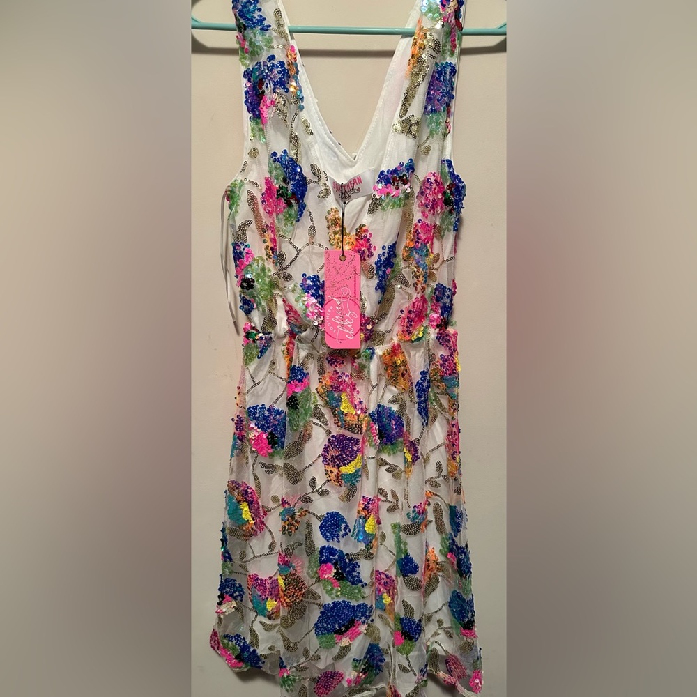 Southern Fried Chics dress